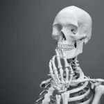 Bones and Joints: A 3D Exploration of the Skeletal System