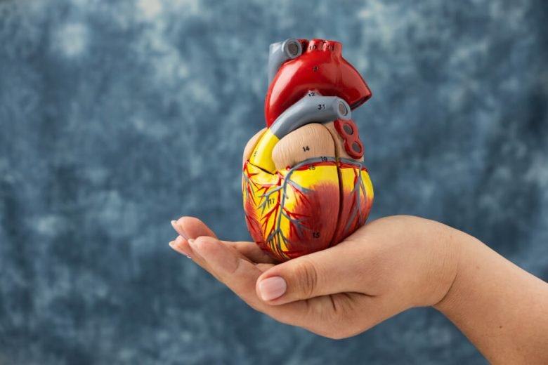 Understanding Heart Murmurs: Causes and Treatment Options
